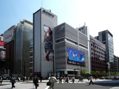 コラム：虫さんぽ　第10回　東京銀座界隈で、手塚先生のONとOFFの足跡をたどる