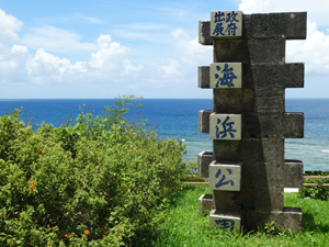 虫ん坊 2015年10月号：虫さんぽ　第43回：沖縄さんぽ（後編）祭りの“跡”と手塚マンガに描かれた青い海、輝く自然を訪ねる!!
