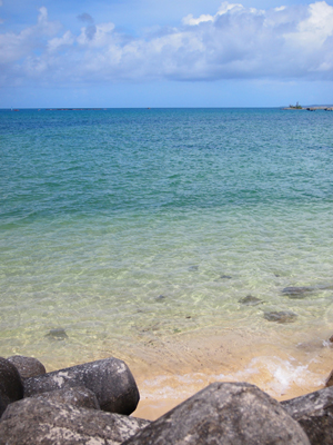虫ん坊 2015年10月号：虫さんぽ　第43回：沖縄さんぽ（後編）祭りの“跡”と手塚マンガに描かれた青い海、輝く自然を訪ねる!!
