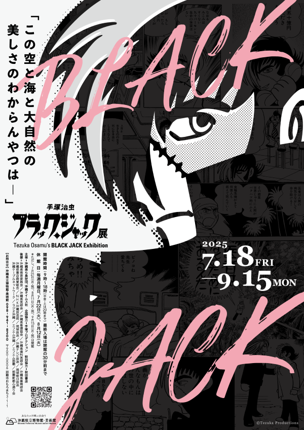 BJ展沖縄メイン.png
