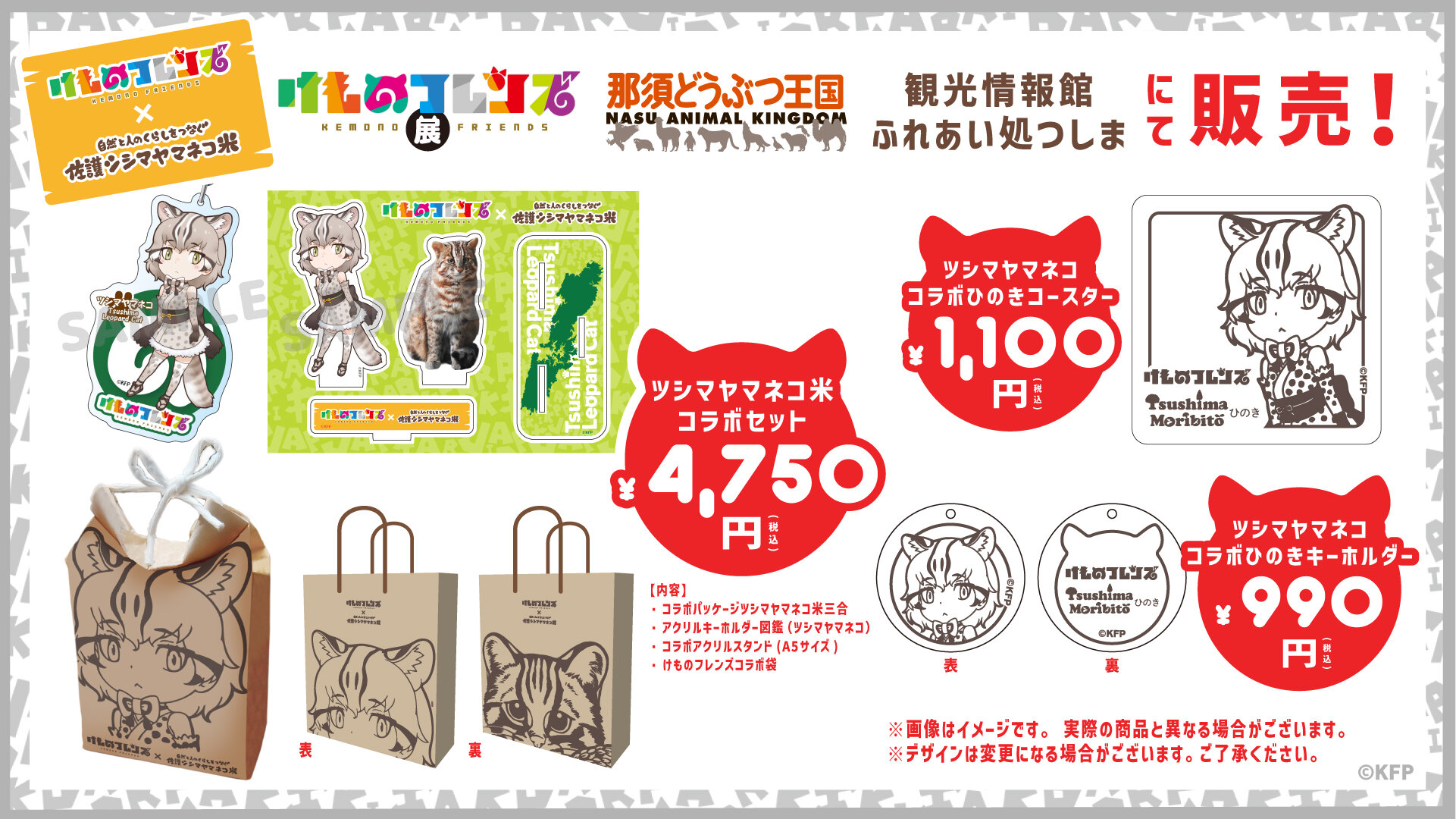 ツシマヤマネコ差し替え画像.jpg